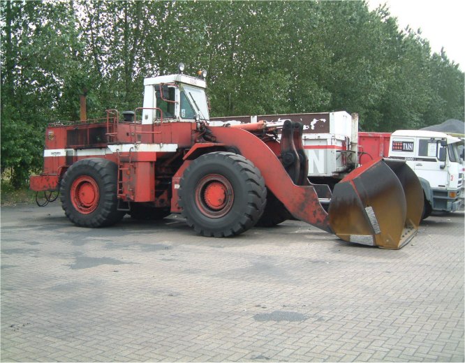 Cat988.jpg