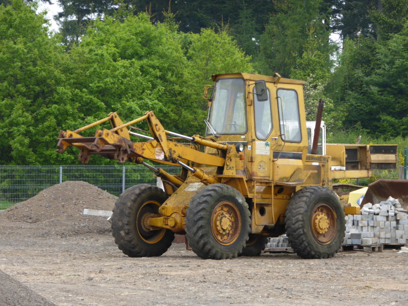 Cat 910 (1).jpg