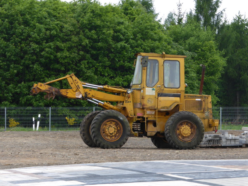 Cat 910 (3).jpg