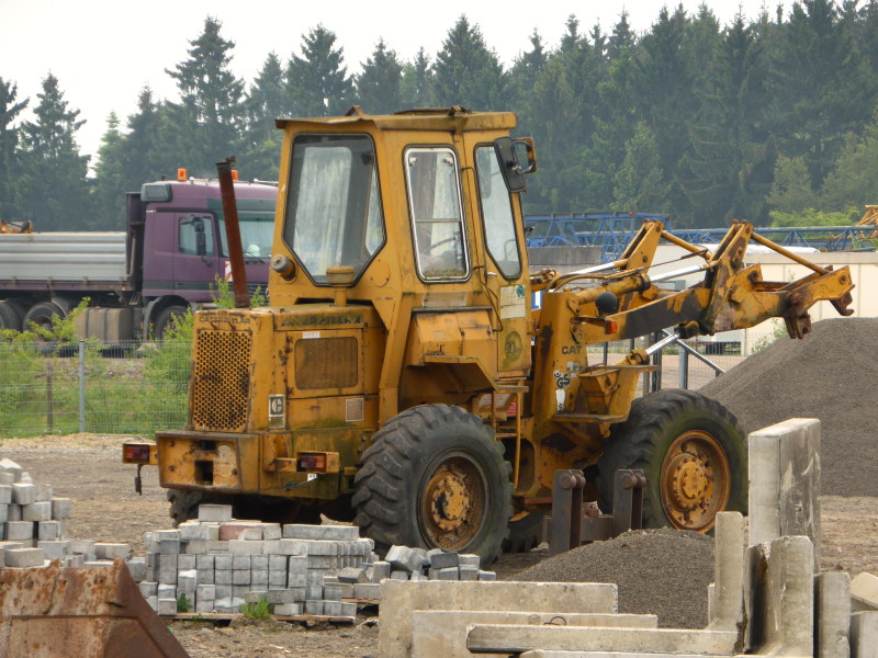 Cat 910 (4).jpg