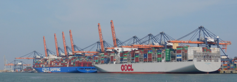 COSCO SHIPPING GEMINI + OOCL GERMANY.PNG