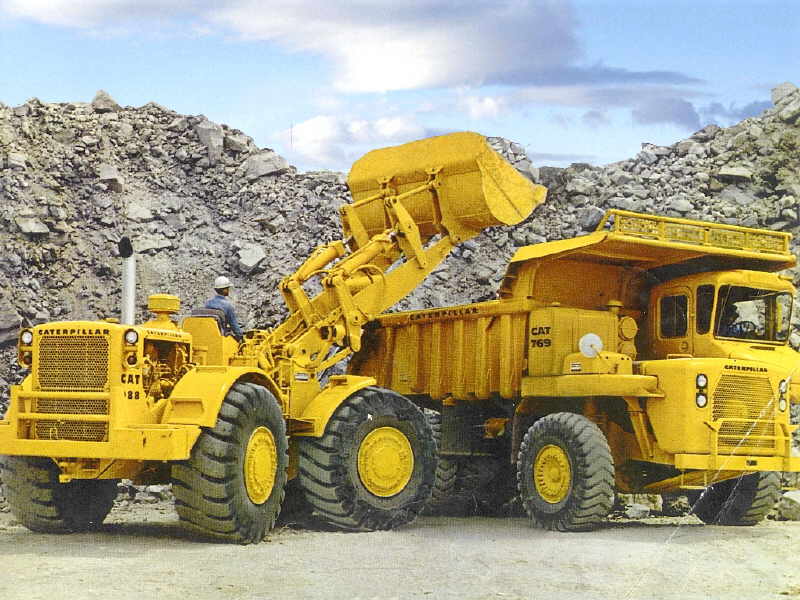 cat 988.jpg